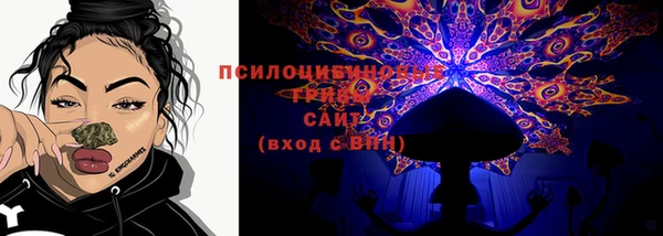 молекула духа Аркадак