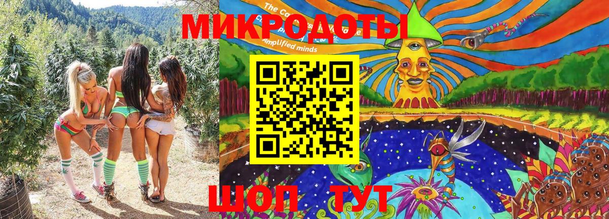 Псилоцибиновые грибы прущие грибы Дюртюли